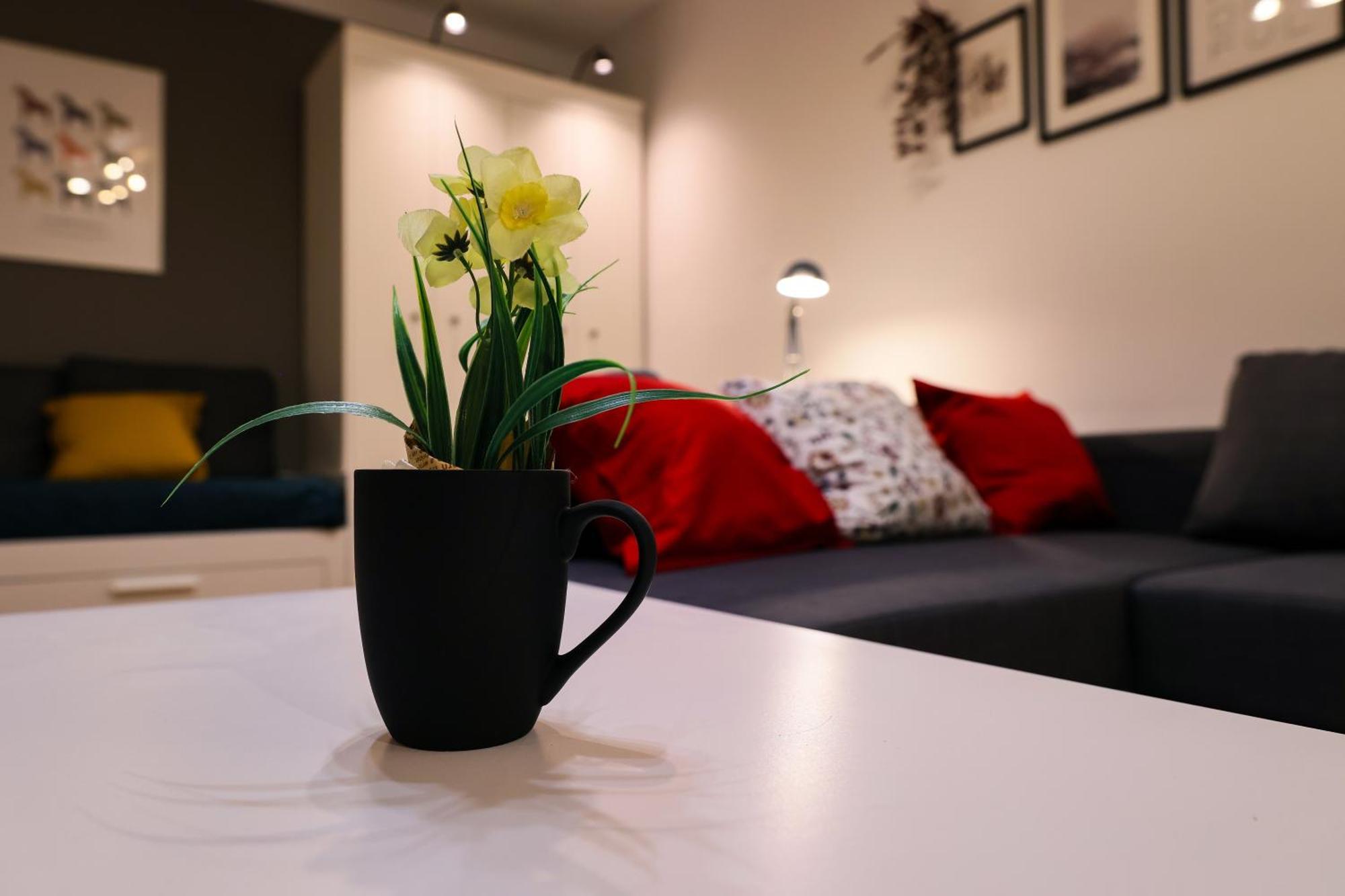 The Apartma